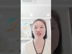 Slimme Magnetische Elektrische het Roestvrije staalsm Schakelaar van het Solenoïdeslot